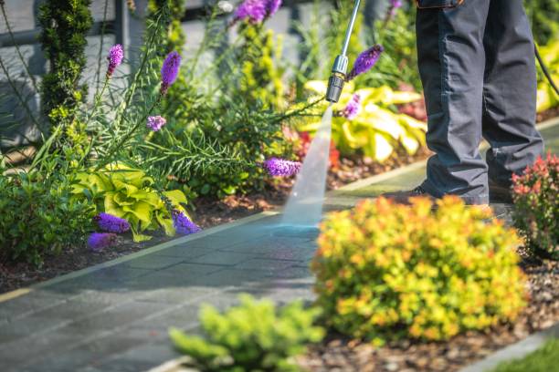 Reliable Kentwood, MI Pressure Washing Services Solutions